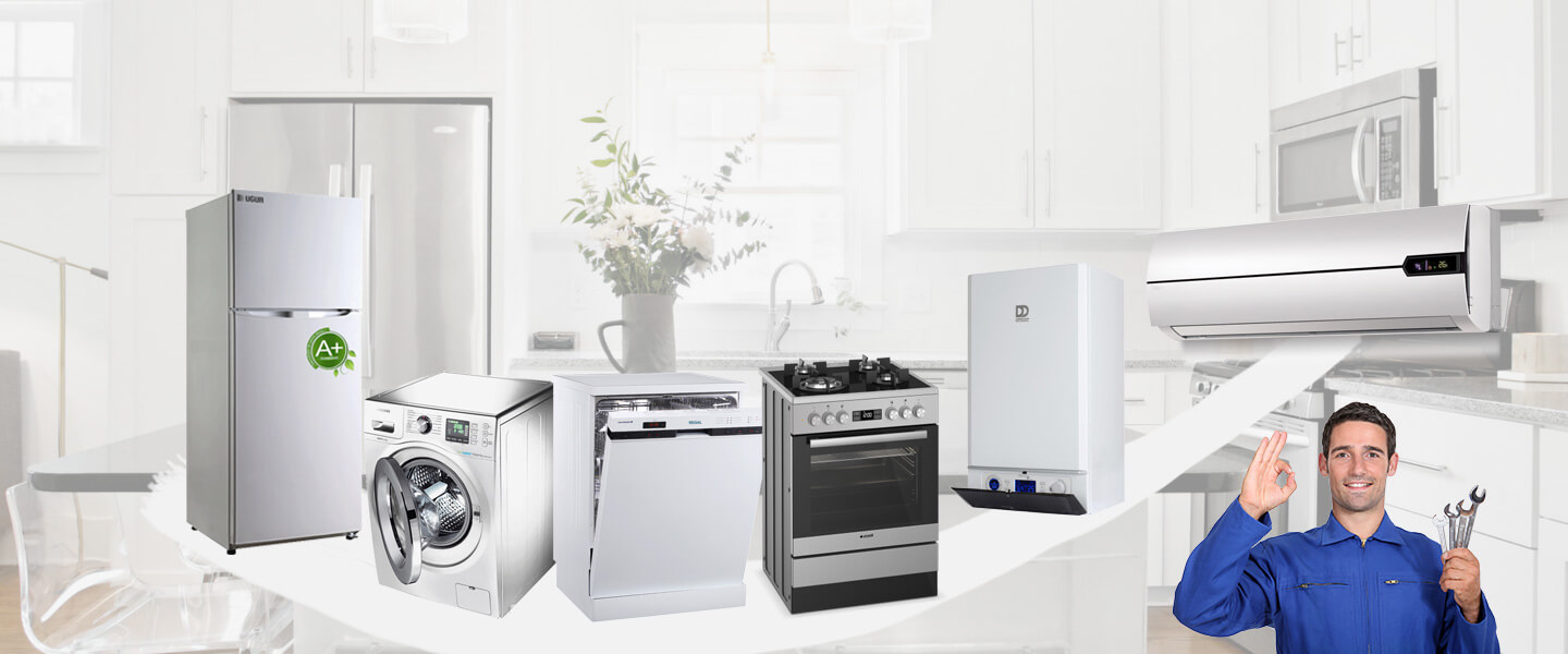 Sahilevleri Electrolux Servisi